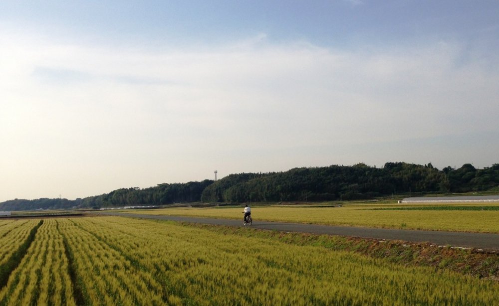 Đạp xe giữa những cánh đồng mênh mông và bầu trời trong xanh của Kumamoto