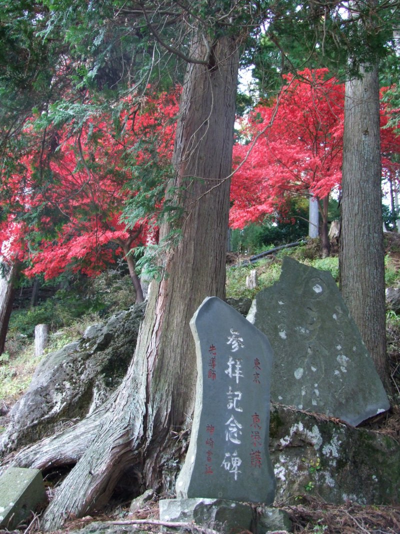 <p>Ascending Oyama in November</p>