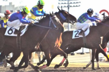 Kawasaki Horse Track