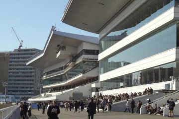 The Kawasaki racecourse is a local public course, and so it is quite small. To tell the truth, it is a very simple course and the premises are the smallest in Japan.