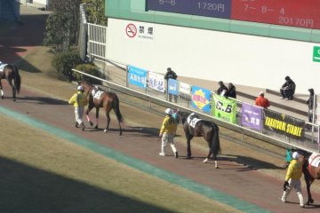Parading onto the track before the race.