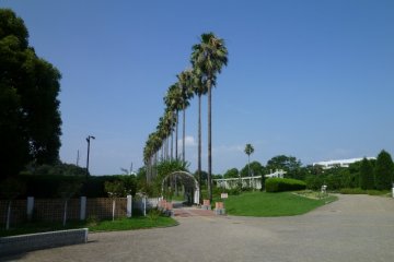 Tropical section of Nagai Park
