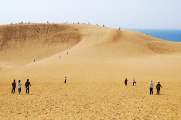 Dunes de Tottori