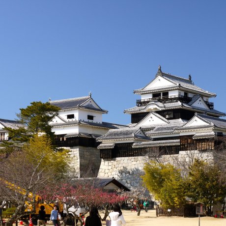 Castillo Matsuyama