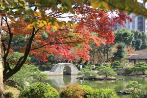 Jardín Shukkeien