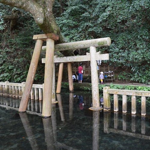 Holy Washing Pond / Mitarashi Ike