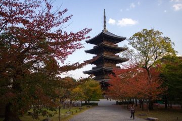 Templo Toji